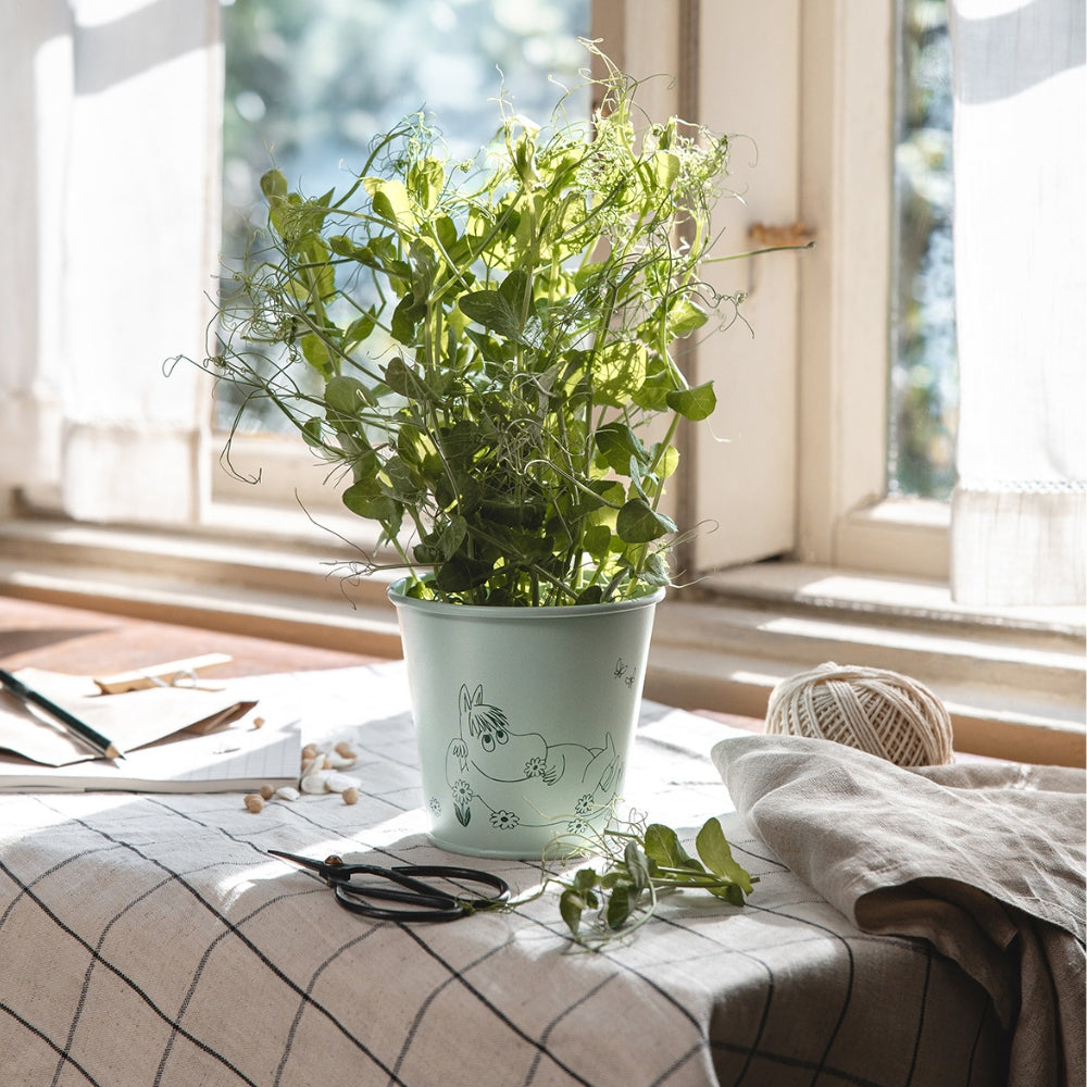 Doniczka Muminki Gardenia 11cm Muurla