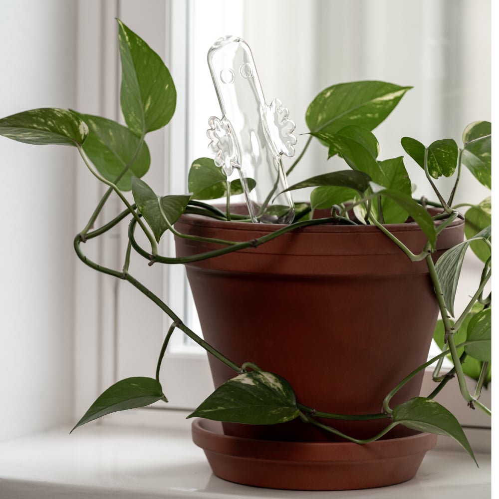 Dozownik wody do kwiatów  - Hatifnat 30cm / 200ml Muurla