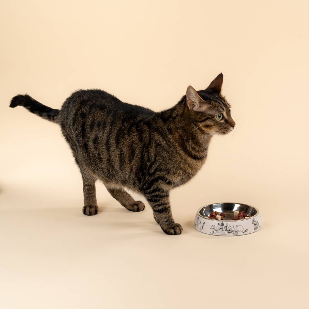 Miseczka dla kota Moomin for Pets 80-lecie (beż) Muurla