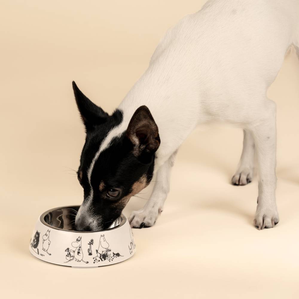 Miseczka Moomin for Pets 80-lecie (S) Muurla