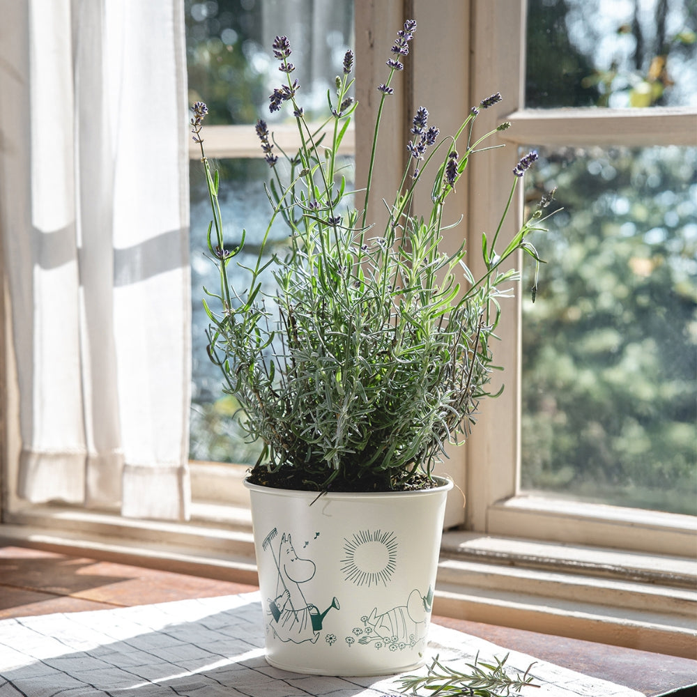 Doniczka Muminki Gardenia 16cm Muurla